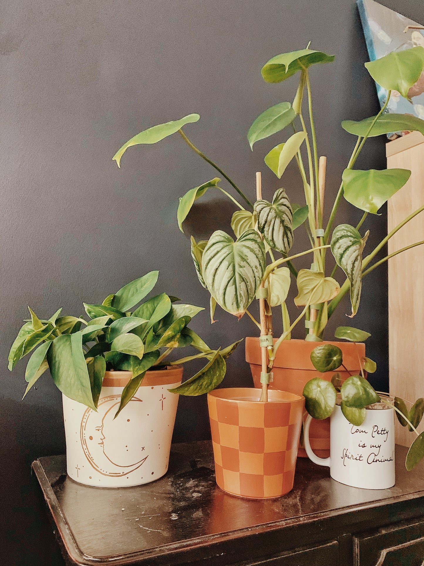 Cabo Moon Terracotta Pot