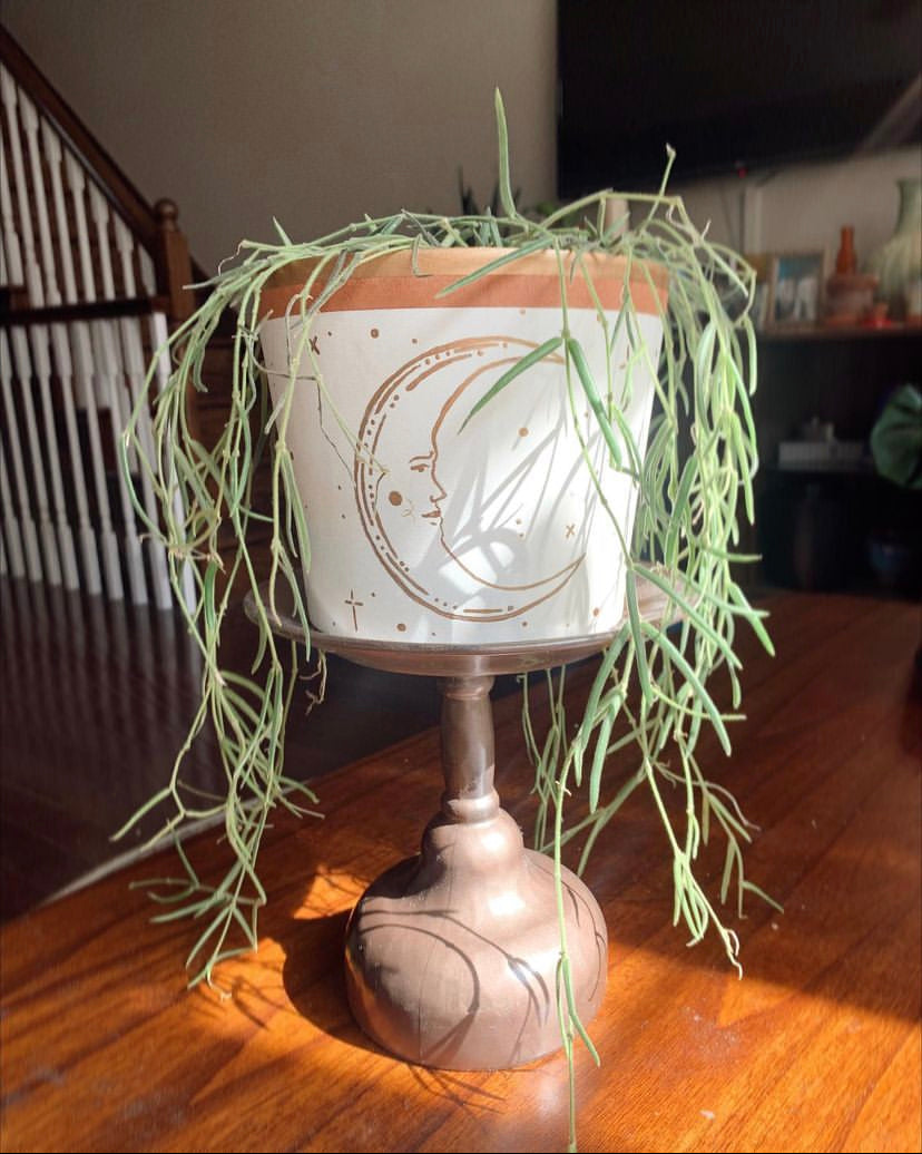 Cabo Moon Terracotta Pot