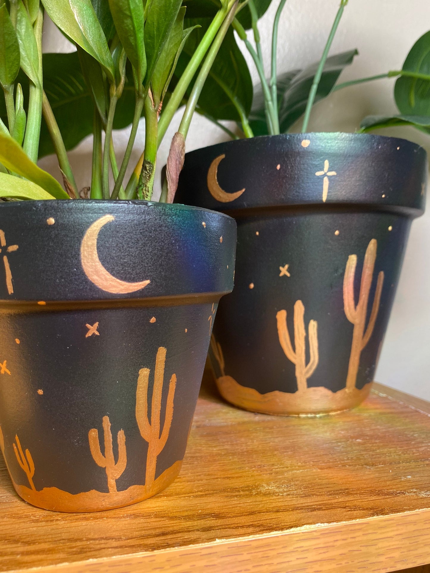 Desert Sky Terracotta Pot