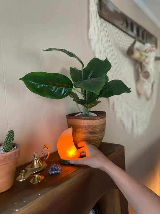 Moon Himalayan Salt Lamp