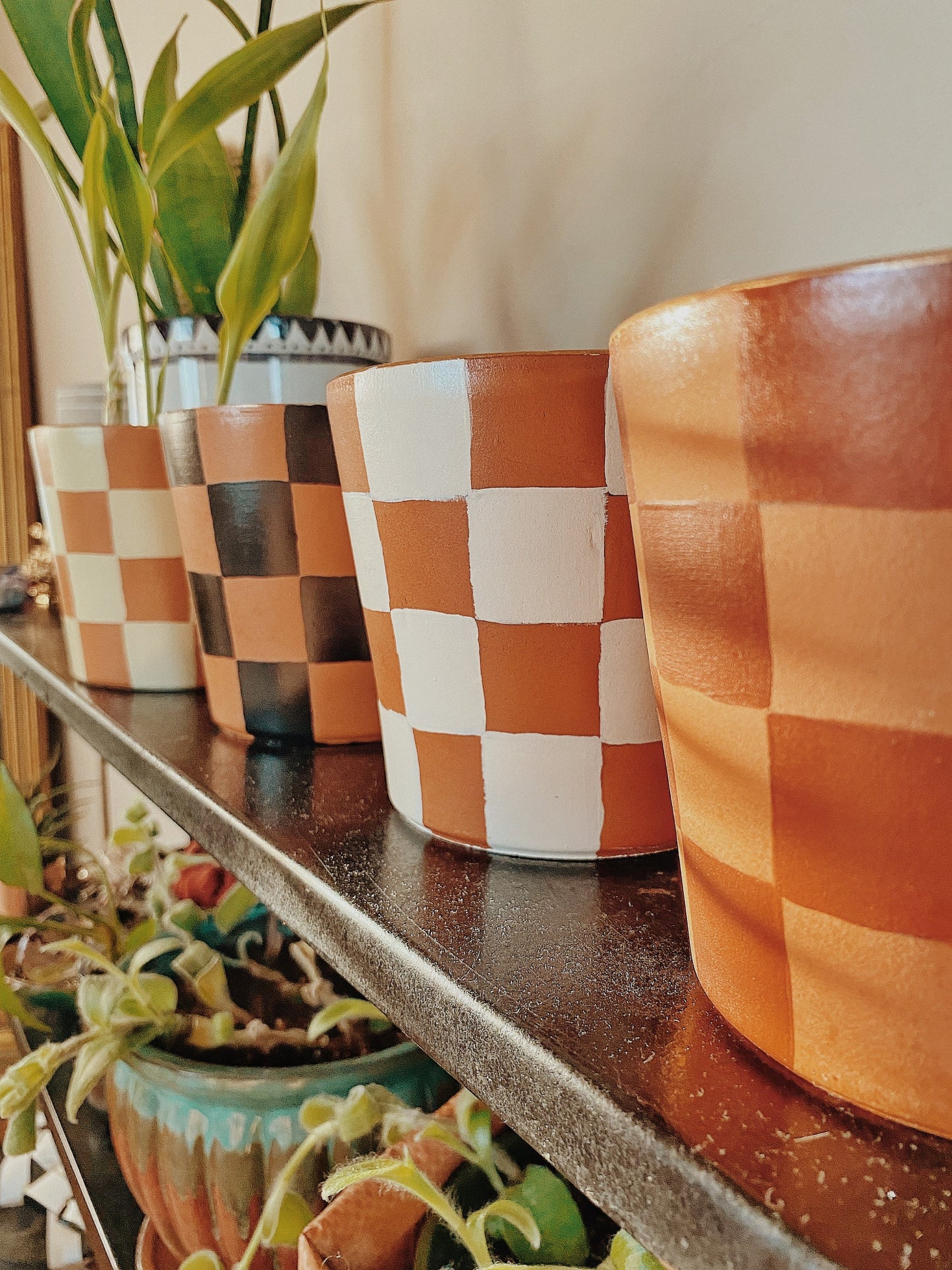 Checkered Terracotta Plant Pot