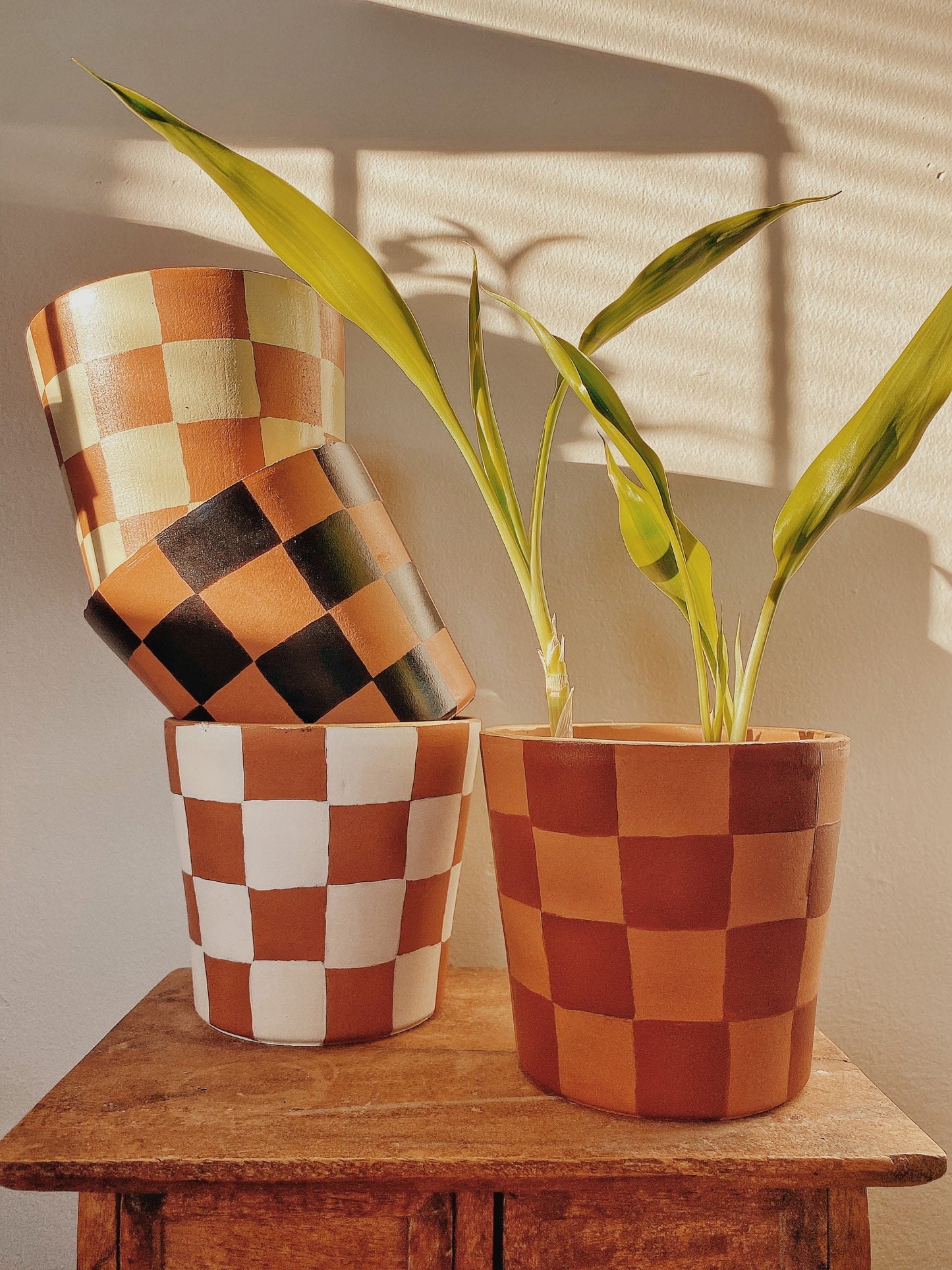 Checkered Terracotta Plant Pot