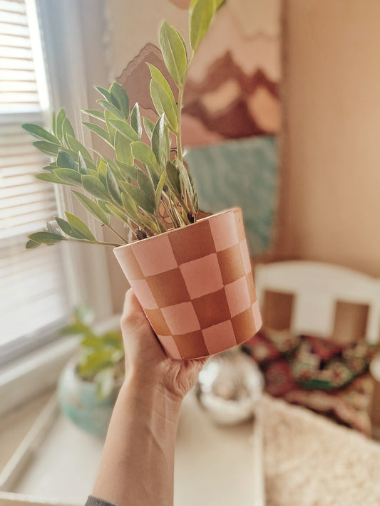 Checker Pink Cabo Terracotta Pot
