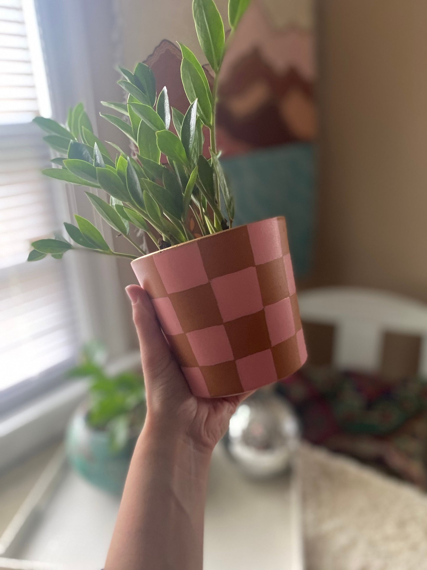 Checker Pink Cabo Terracotta Pot