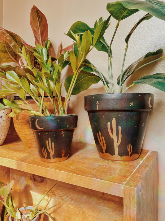 Desert Sky Terracotta Pot