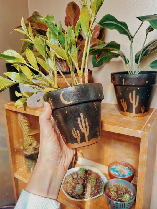 Desert Sky Terracotta Pot